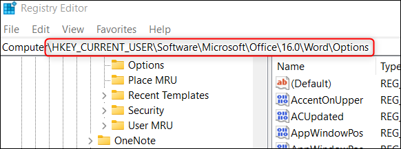Registry Hack:修改 Microsoft Office 中的撤消限制 Registry Hack:修改 Microsoft Office 中的撤消限制
