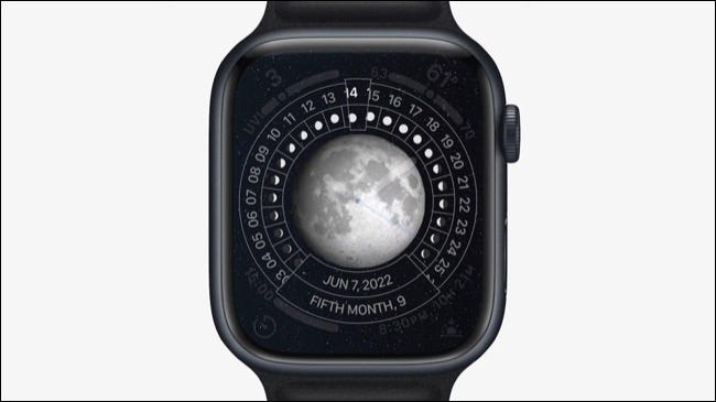 watchOS 9 的新功能 watchOS 9 的新功能