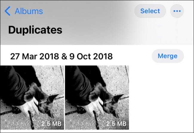 ios16_duplicate_photos