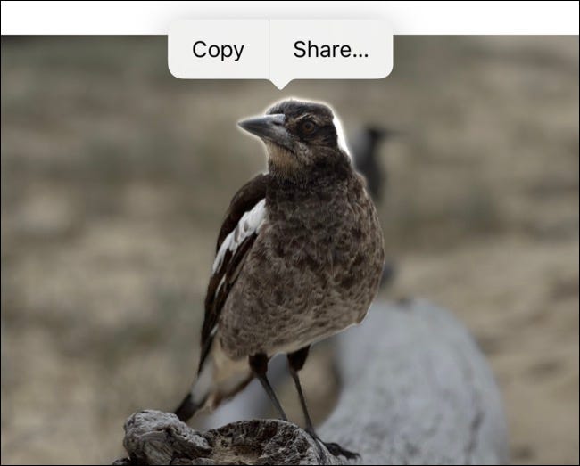 ios16_subject_isolation