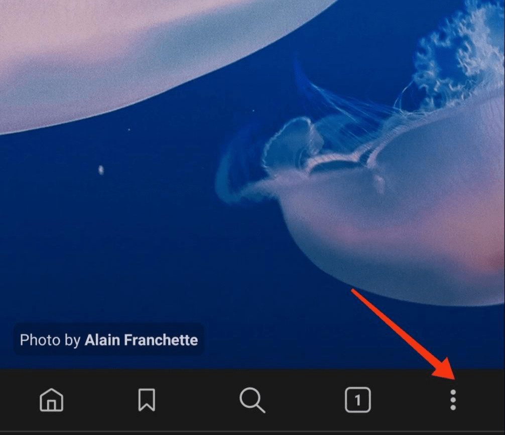 3_Dot_More_menu_option_in_Brave_Mobile