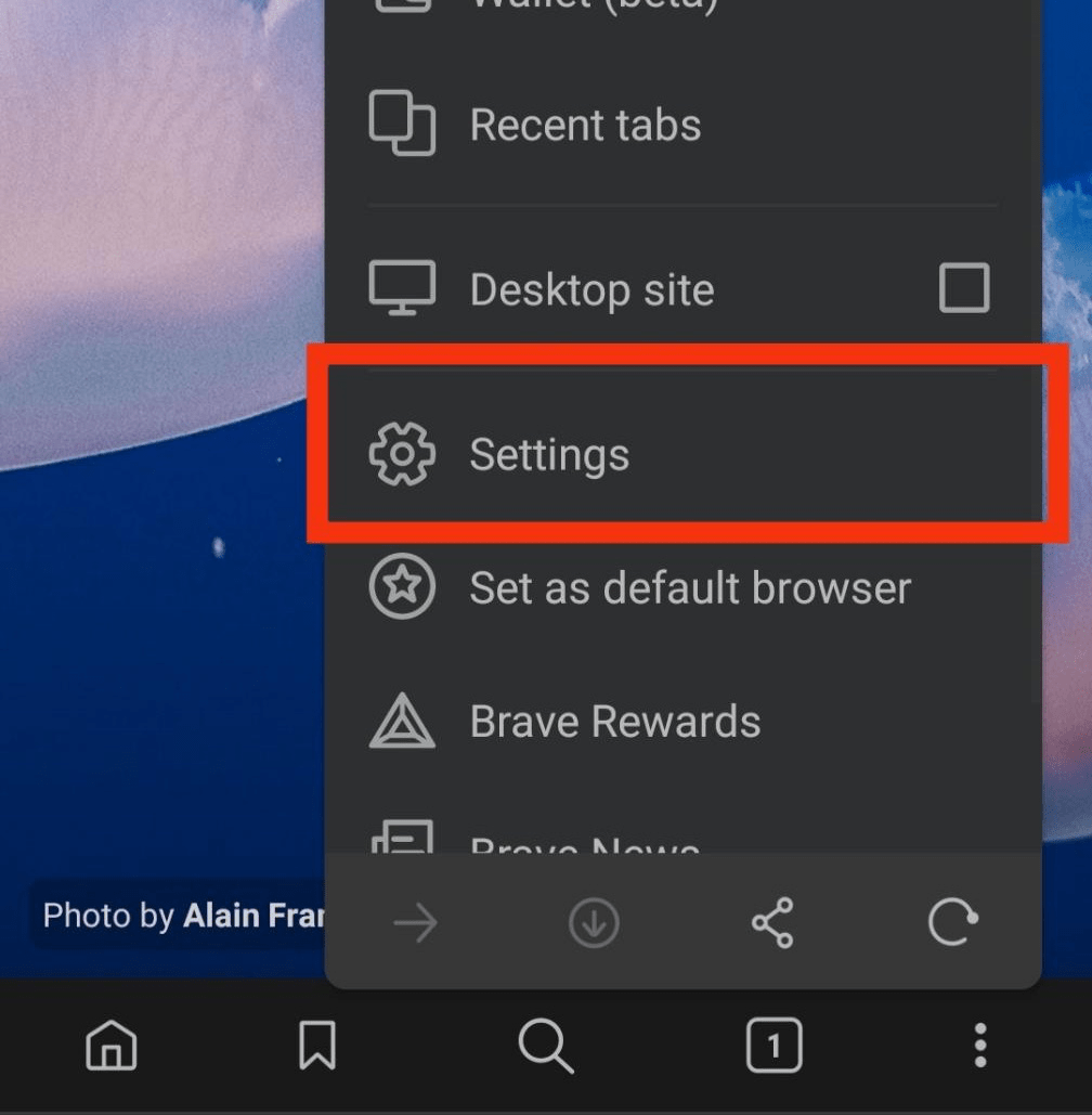 Brave_Settings_menu_on_Mobile