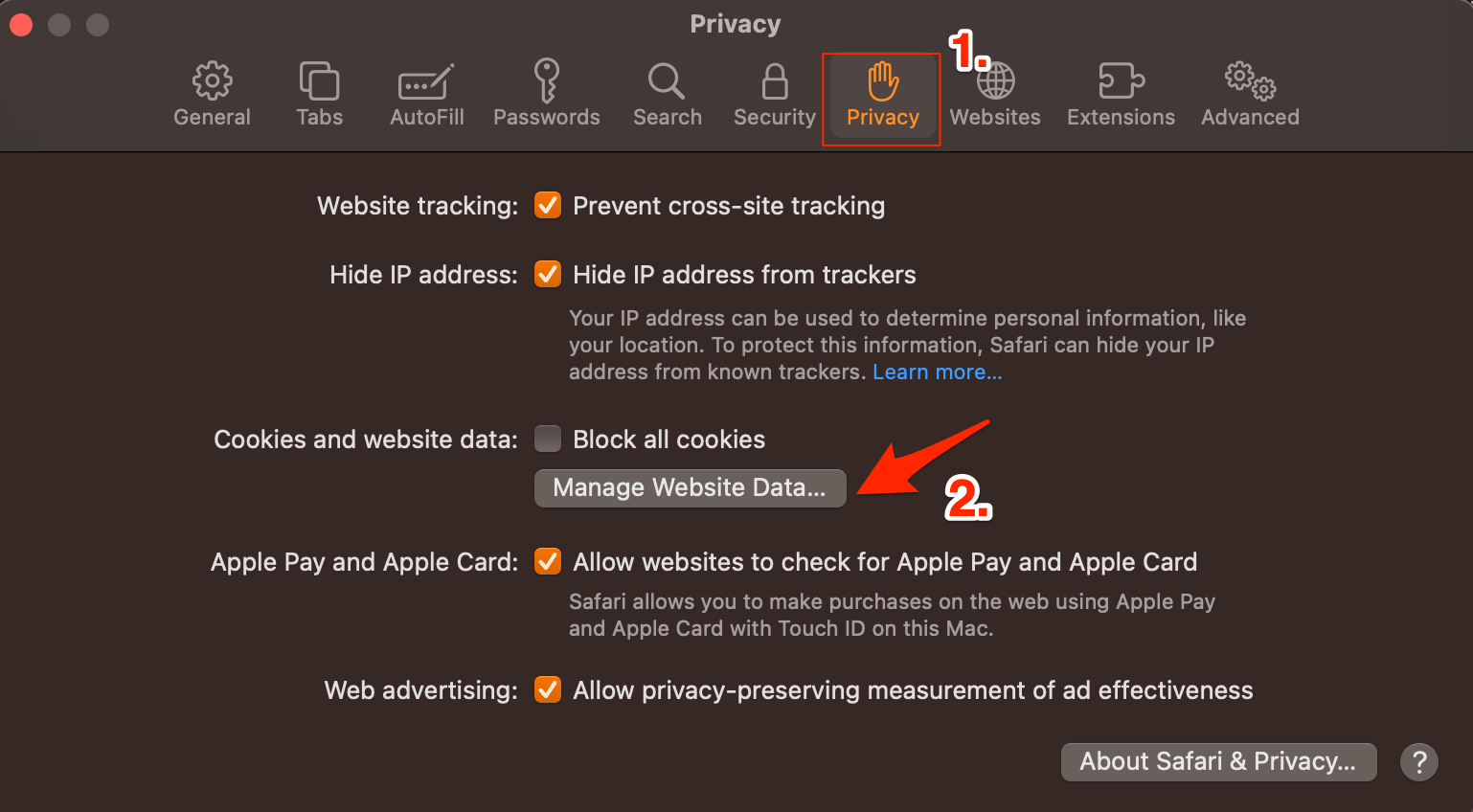 Manage_Website_Data_on_Safari_Mac