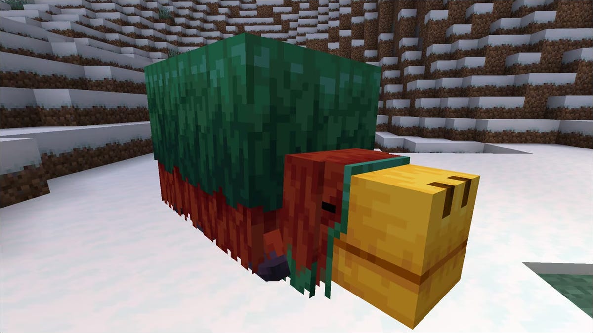 Minecraft 1.20 將添加這個新的生物 Minecraft 1.20 將添加這個新的生物