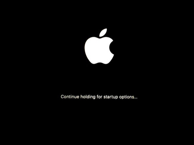 hold_for_startup_options