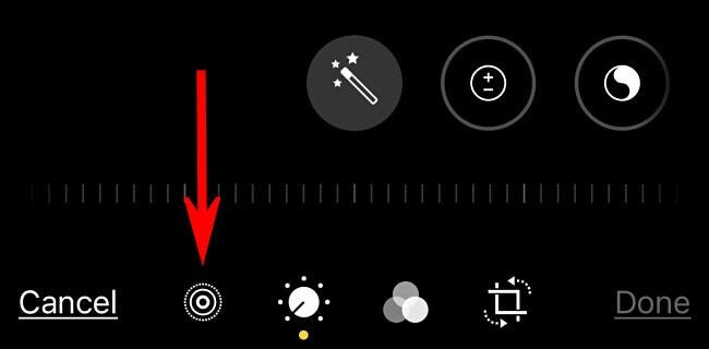 tap_live_photo_button