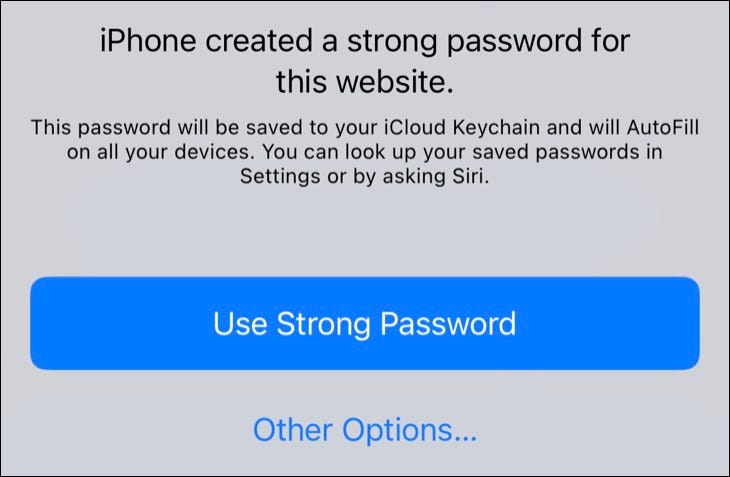 如何在iPhone，Mac，iPad和Windows上使用Apple的隐藏密码管理器