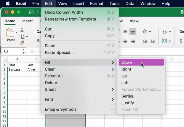 fill-down-excel-menu-item-mac-1-610x421-1