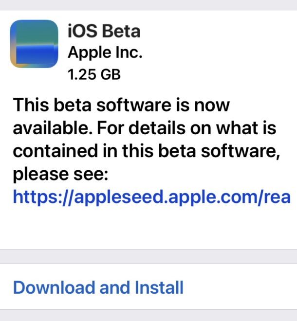 opt-in-ios-beta-ipados-beta-610x660-1