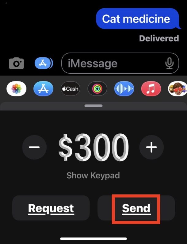 send-money-apple-cash-messages-iphone-3-copy-610x792-1