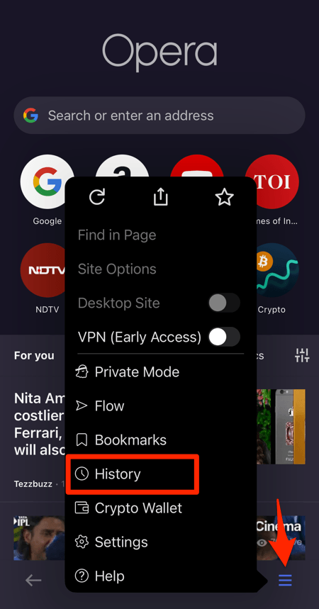 History_menu_on_Opera_app_for_iPhone