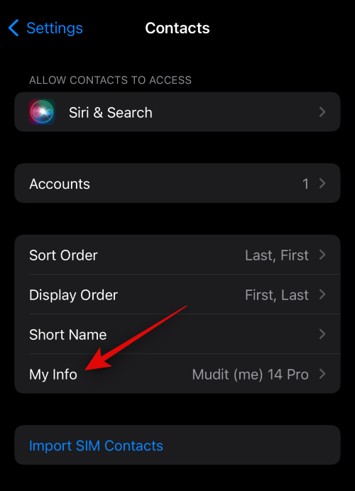 如何使用iOS 17在iPhone上设置联系人照片和海报 如何使用iOS 17在iPhone上设置联系人照片和海报