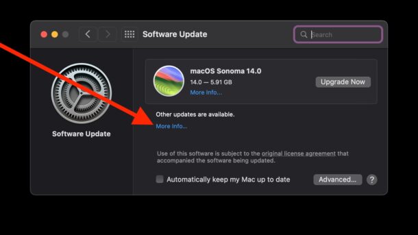 install-macos-updates-without-installing-sonoma2-610x343-1