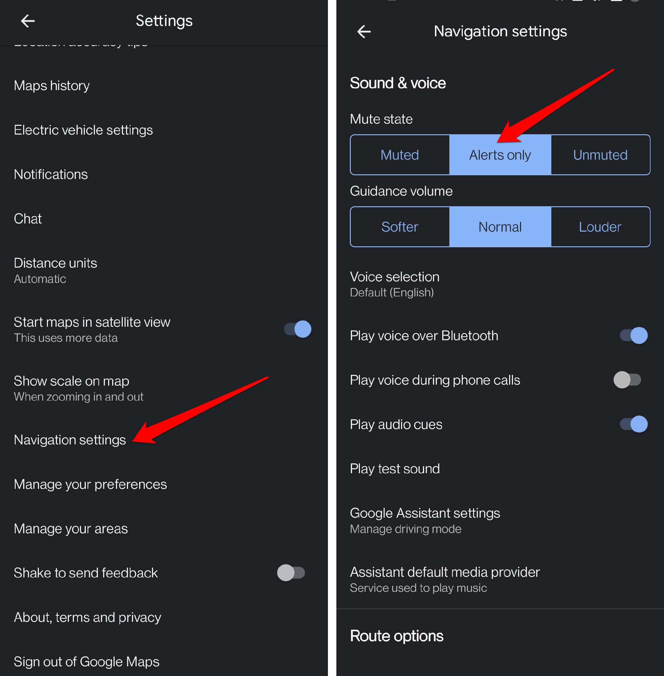 enable-traffic-alerts-only-by-Google-Maps-voice-navigation