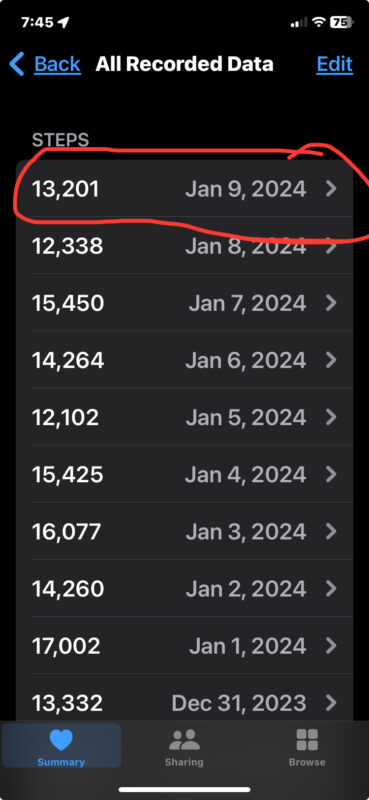see-real-time-step-count-data-iphone-health-3-369x800-1