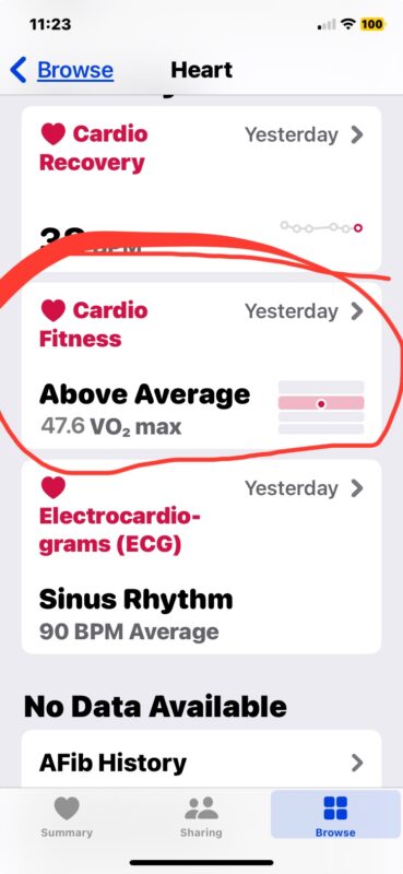 howto-see-vo2max-iphone-apple-watch-2-369x800-1