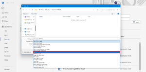 File-manager-2-300x149-1