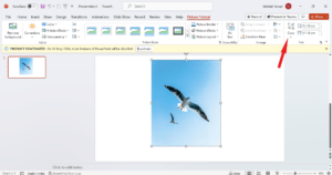 如何在 Microsoft PowerPoint 中将图片裁剪成圆形 如何在 Microsoft PowerPoint 中将图片裁剪成圆形