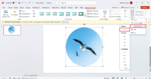 如何在 Microsoft PowerPoint 中将图片裁剪成圆形