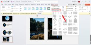 Picture-Layout-300x147-1