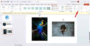 Picture-format-4-300x154-1