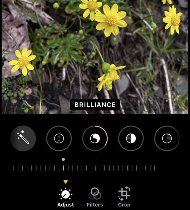 bulk-image-editing-iphone-photos-ipad-copy-paste-edits-610x675-1
