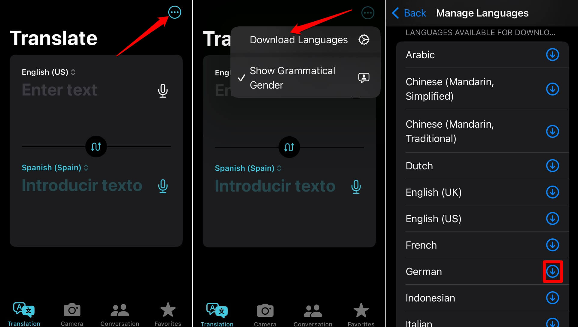 download-language-in-the-iOS-translate-app