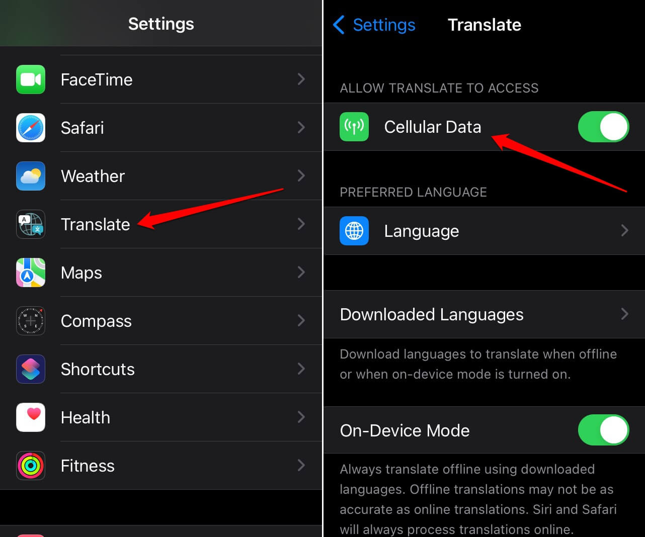 enable-cellular-data-for-iOS-translate-app