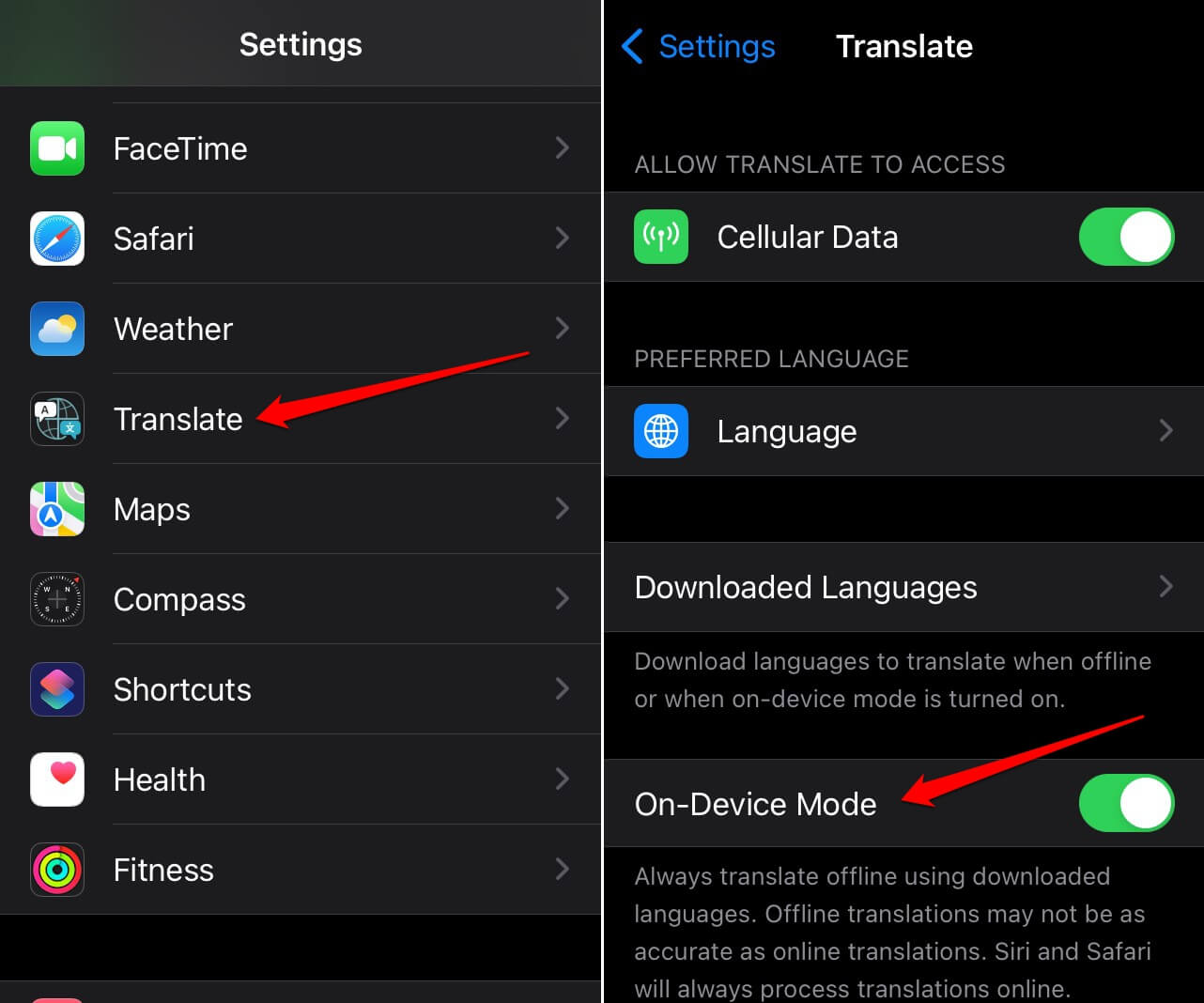 enable-on-device-mode-for-iOS-Translate-app