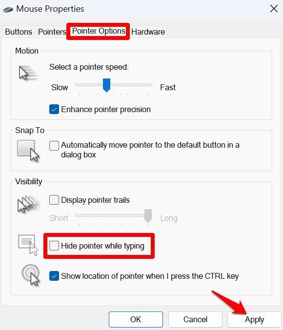如何修复鼠标光标在 GDocs 或 Word 中不可见 如何修复鼠标光标在 GDocs 或 Word 中不可见