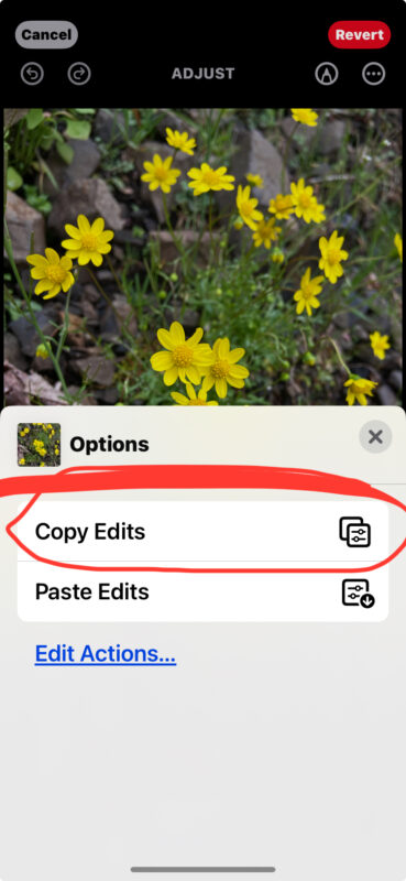 howto-copy-paste-edits-iphone-ipad-2-369x800-1