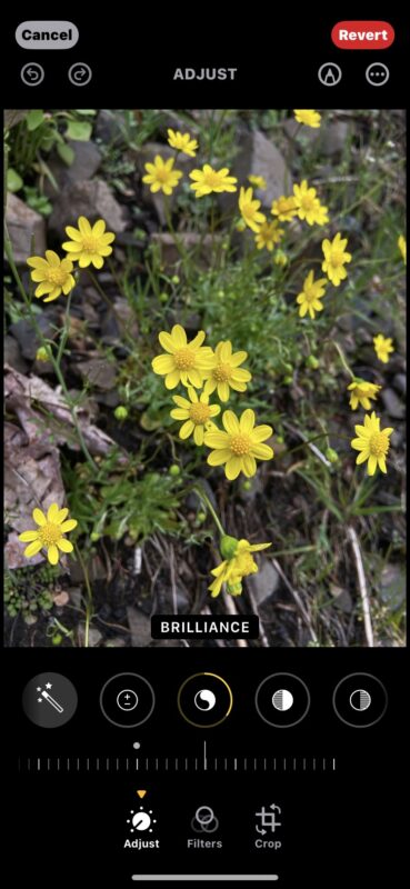 howto-copy-paste-edits-iphone-ipad-3-369x800-1