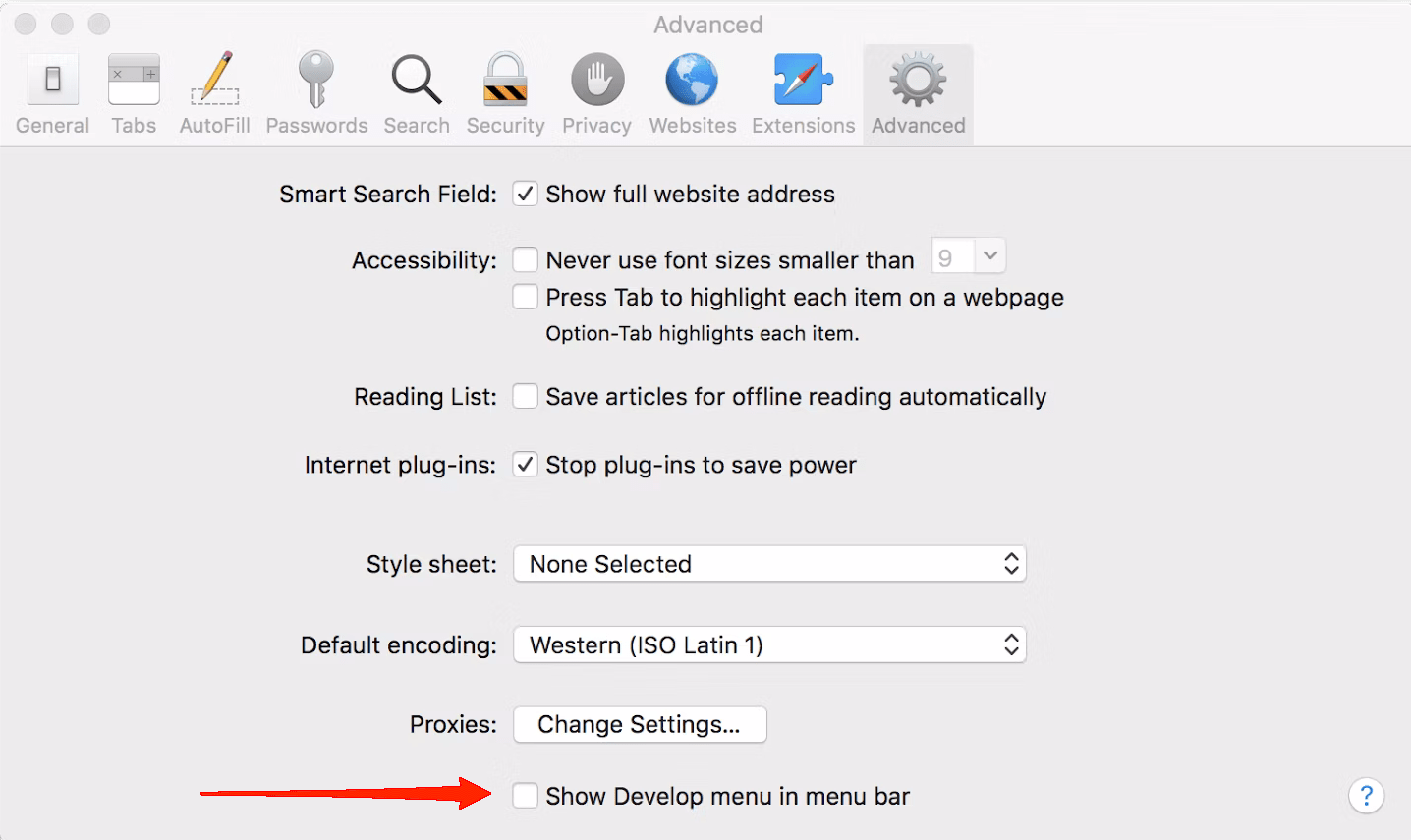safari-advanced-settings