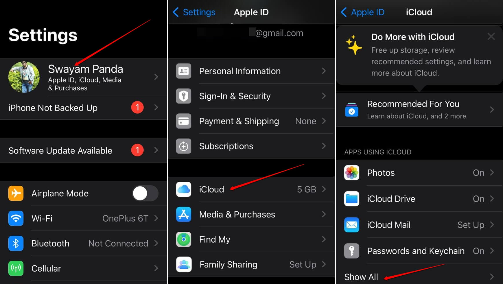 show-all-the-apps-using-iCloud