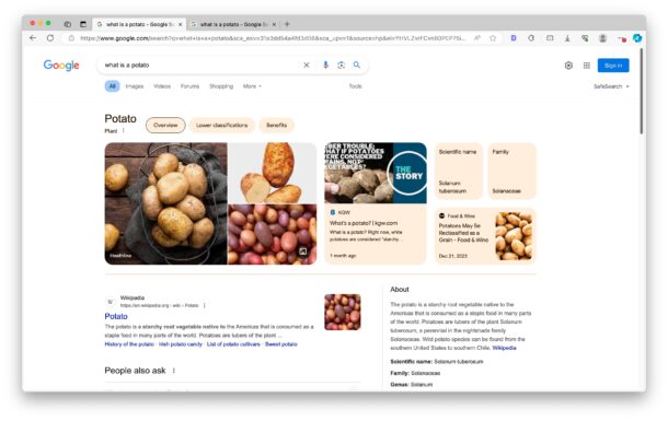 before-after-google-web-results-search-2-610x385-1