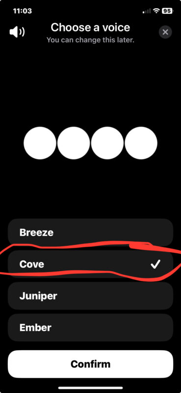 chatgpt-conversation-mode-change-voice-4-369x800-1