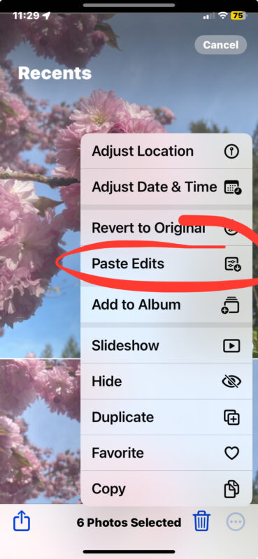 copy-paste-edits-photos-iphone-ipad-mac-369x800-1