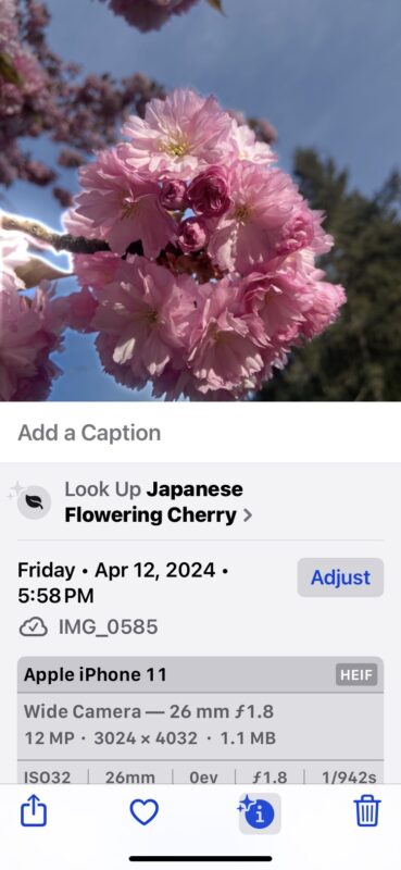 identify-unknown-plants-flowers-objects-etc-photos-iphone-ipad-369x800-1